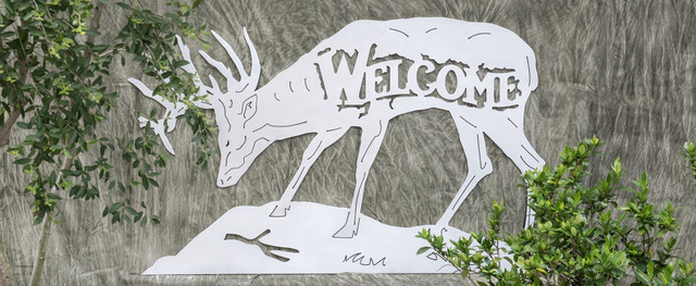 Custom Cut Metal Signs