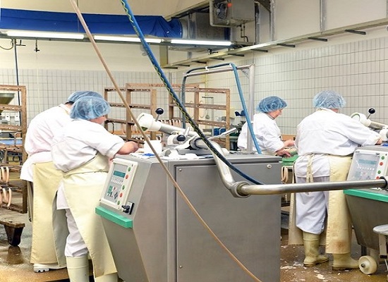 food processing gaskets