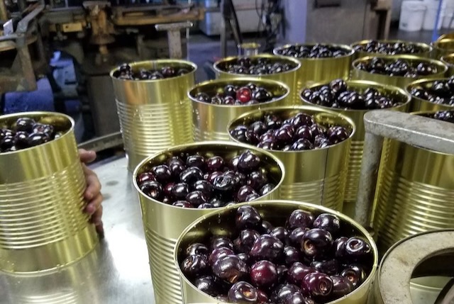 food processing gaskets